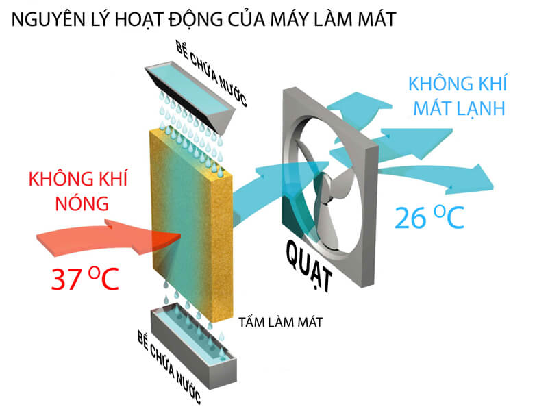 Nguyên lý hoạt động của máy