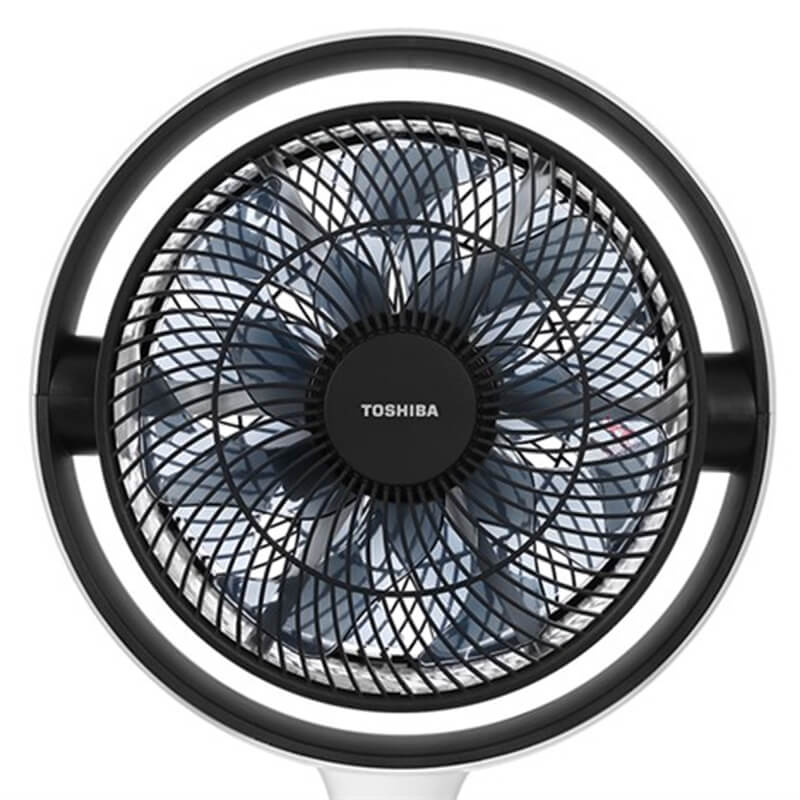Với 7 cánh trước và 9 cánh sau